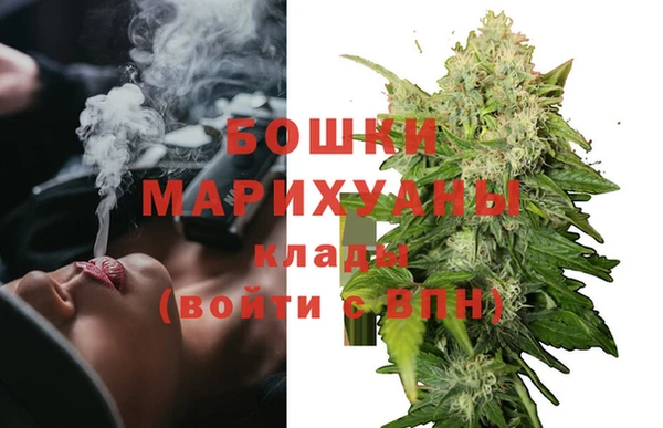 ПСИЛОЦИБИНОВЫЕ ГРИБЫ Волоколамск