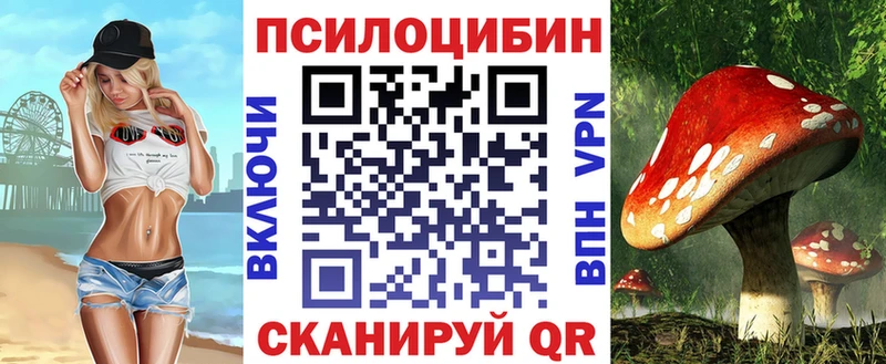 дарнет шоп  Яблоновский  Псилоцибиновые грибы мухоморы 